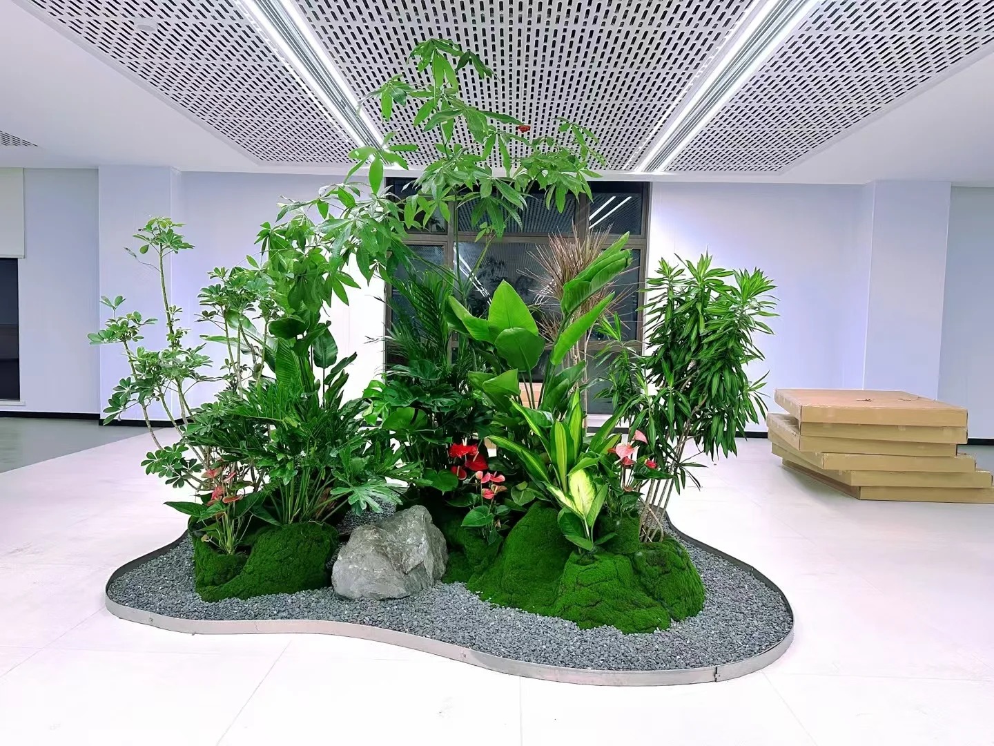 专业花木出租，宁波奉化的绿色之选等你来